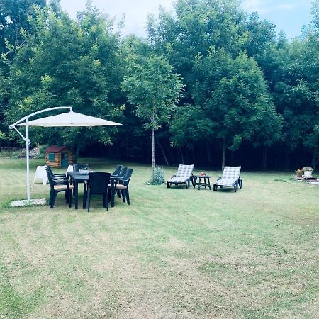 La Tana Guest House Дронеро Экстерьер фото